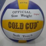 Volleyball – Goldcup