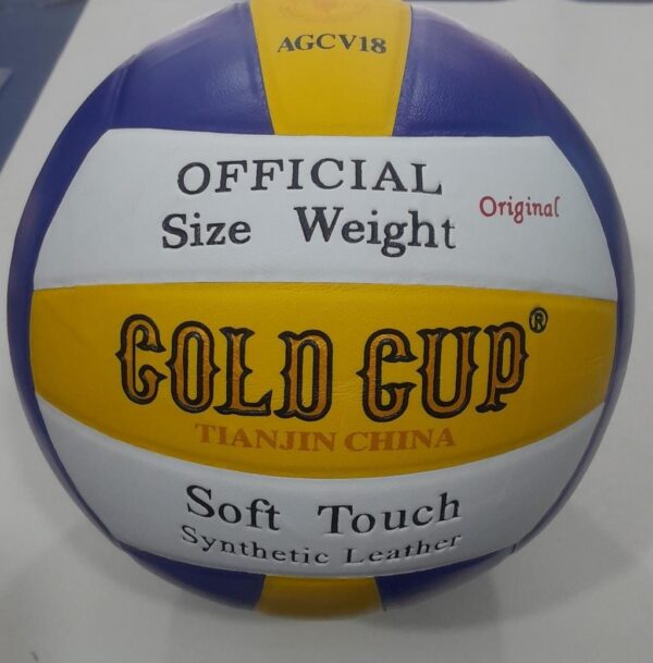 Volleyball - Goldcup